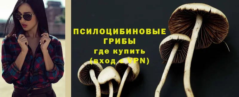 Галлюциногенные грибы Psilocybine cubensis Усолье-Сибирское